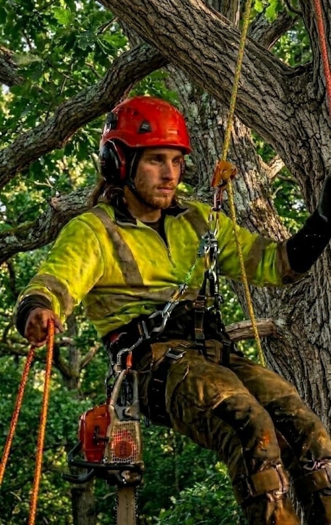 Jordan Régnier, arboriste chez L'Arboriste Rive-Sud